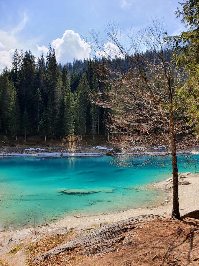 Ferienwohnung Stenna Selva An Toplage Flims Buitenkant foto